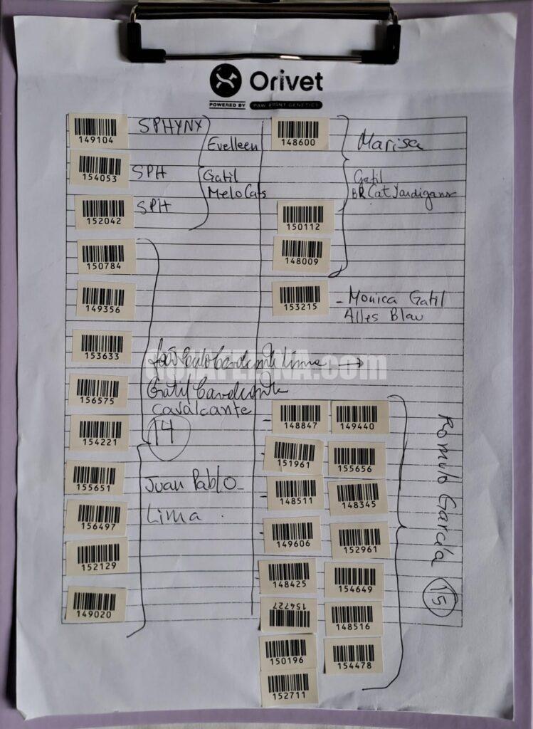 WhatsApp-Image-2025-11-18-at-15.10.13-1