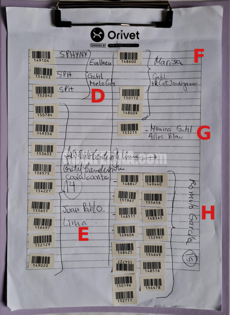 WhatsApp-Image-2025-11-18-at-15.10.13-1