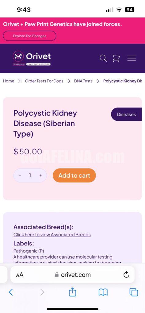 WhatsApp-Image-2025-12-31-at-12.44.01