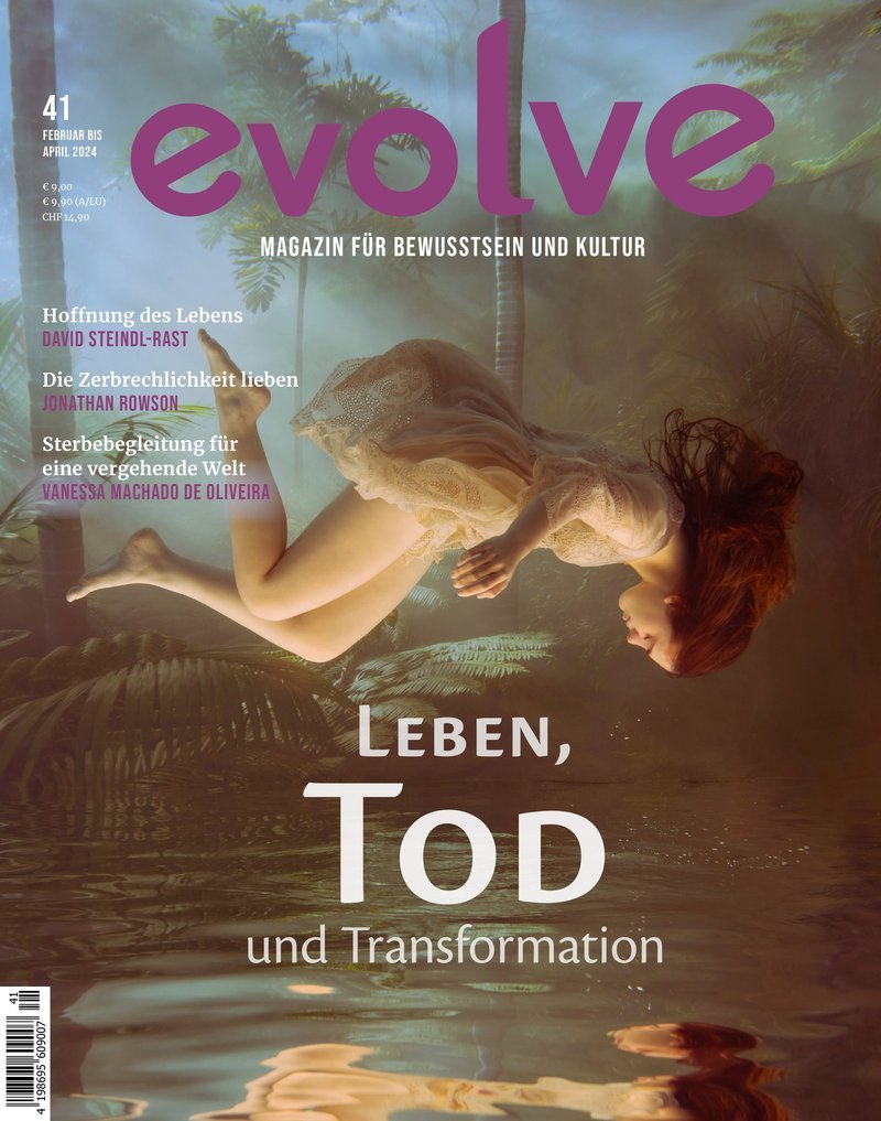 Evolve casino, evolve casino online Evolve casino, evolve casino online